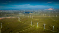 Wind turbines dot the oddly green landscape of the mojave desert