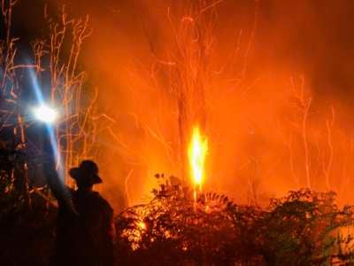 Firefighters battle a forest fire in Pekanbaru, Indonesia's Riau province on March 2, 2021, amid an increase of hotspots in the region.