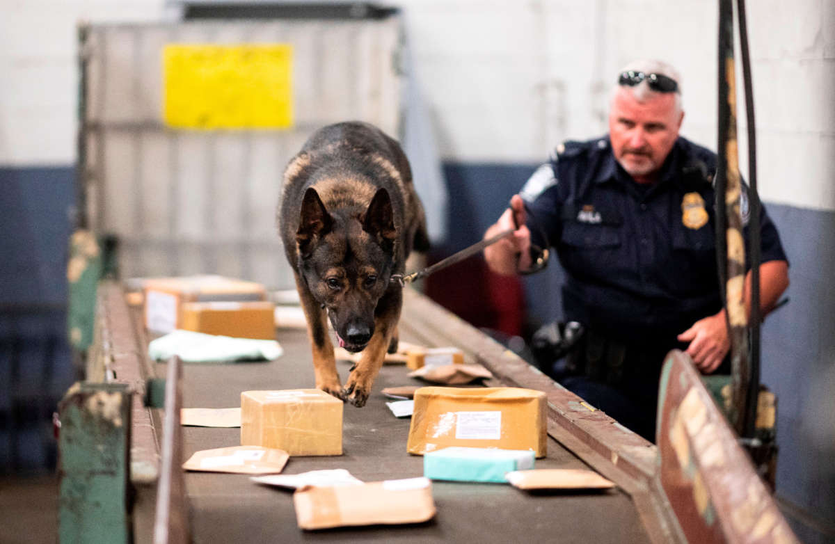 An officer with Customs and Border Protection works with a dog to check parcels for fentanyl.