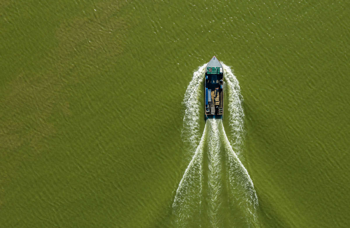 A motor boat drives through green water