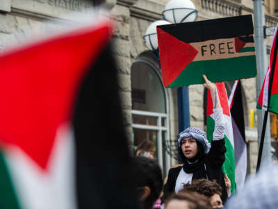 A person holds up a sign reading "free Palestine" during a protest