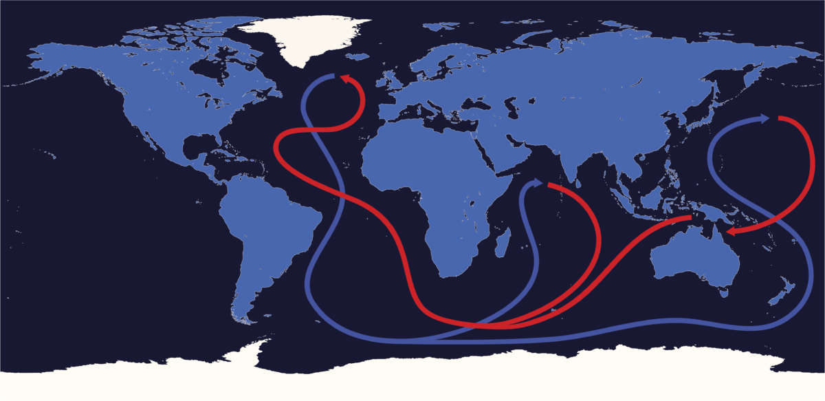 A map depicting ocean thermohaline circulation.