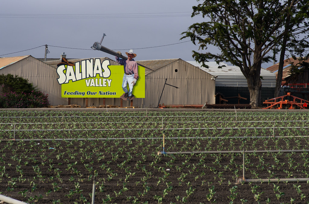 Roughly half of the more-than-one-million crop farmworkers in the U.S. do not have work authorization, according to USDA data. Salinas Valley, California, is a major agricultural hub that relies heavily on migrant labor.