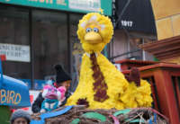 Big Bird of Sesame Street attends the 2018 Macy's Thanksgiving Day Parade on November 22, 2018, in New York City.