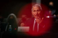 National Institute of Allergy and Infectious Diseases Director Anthony Fauci testifies in the Dirksen Senate Office Building on Capitol Hill on November 4, 2021, in Washington, D.C.
