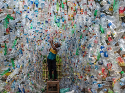 An activist arranges a massive amount of plastic bottles as part of a installation about ocean pollution