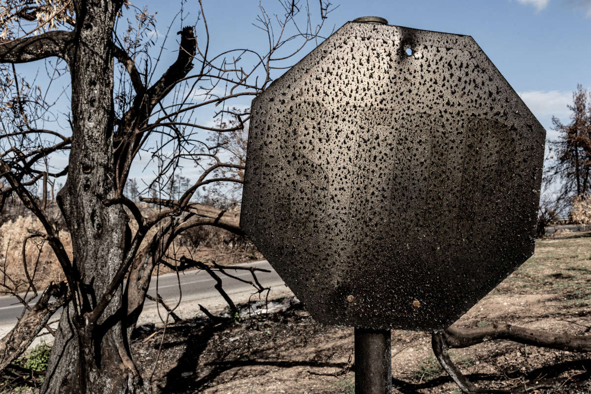 A road stop sign near Agia Anna stands burnt by wildfires that raged in August on the island of Evia, Greece, on September 7, 2021. According to scientists the wildfires were caused by changing climate.