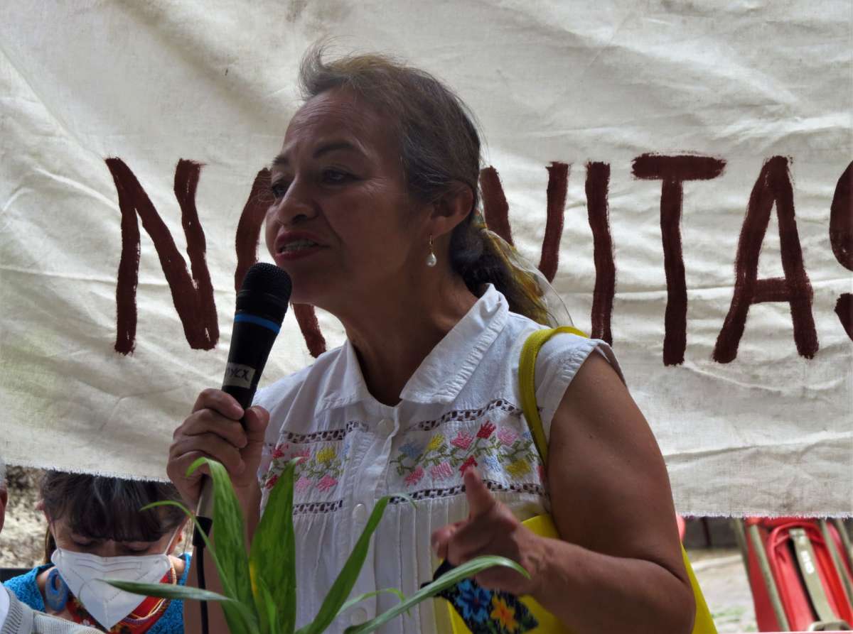 Silvia Cabello Molina, a local autonomous council representative, speaking at a meeting in Xochimilco, as part of the caravan.