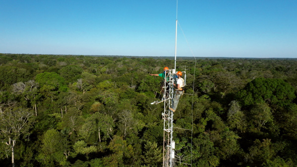 Mundano and forest fire researcher at one of the fire monitoring towers run by IPAM in the Amazon.