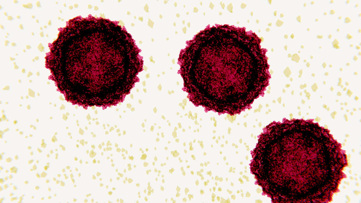 US's Reactive Polio Strategy Could Be Silently Putting Many at Risk - Vimarsana News