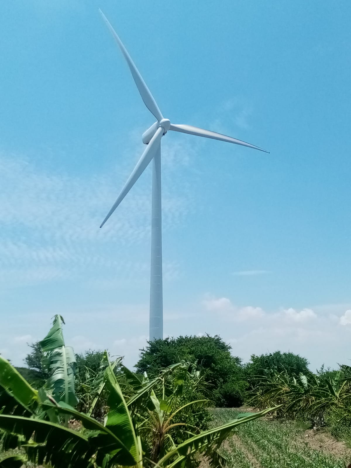 A wind turbine owned by Spanish company, Naturgy, in Juchitan, Oaxaca.