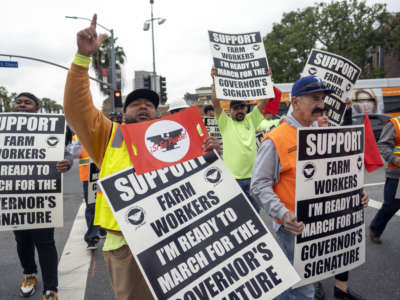 People hold signs during a demonstration organized by the UFW Foundation at Cesar E. Chavez Avenue and Alameda Street in Los Angeles, California, to support AB 2183, on March 31, 2022.