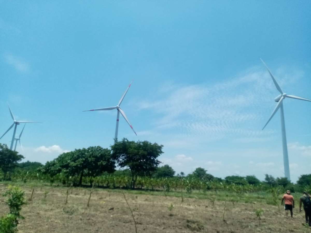 Spanish company Naturgy is taking up 2000 hectares of commune land, with 117 turbines.