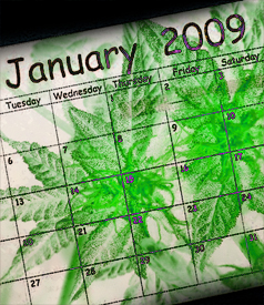 The Year in Pot: Top Ten Events That Will Change the Way We Think About Marijuana