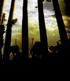 Visiting a Modern-Day Slave Plantation