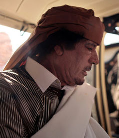 In Libya, Both Sides Gird for Long War as Civilian Toll Mounts 