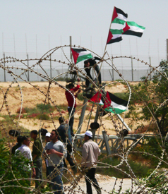 Boldness vs. Bullets at the Gaza Border