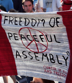 Anarchism and Nonviolence: Time for a "Complementarity of Tactics"