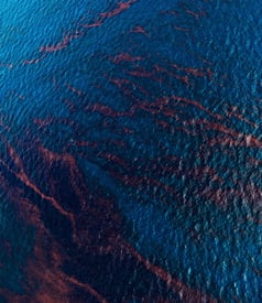 Scientists Cast Doubt on Claims BP Spill