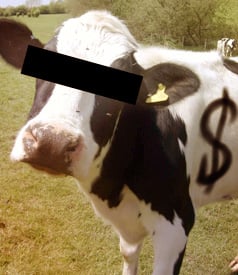 The Cash Cow of Anonymity