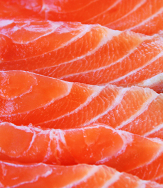 Ban on Genetically Modified Salmon Proposed in Senate Despite Powerful Biotech Lobby