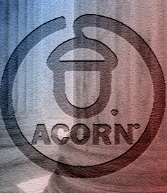 Why ACORN Won