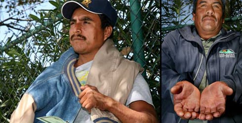 Alberto Juarez Martinez slings his jacket over his shoulder while he waits. His hands show the effect of a lifetime of manual work, plus arthritis suffered as a child in Zapata, Zacatecas. The hands of Beto, a migrant from Uruachi, Chihuahua, also show the effect of a lifetime of manual work. Photos by David Bacon.