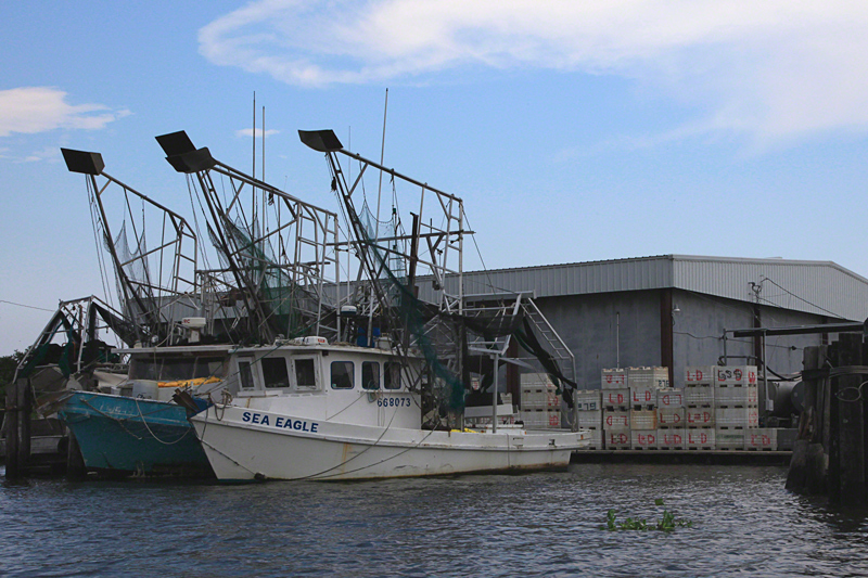 Nunez Seafood, a processing plant for shrimpers in Lafitte.