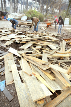 Residents of Nashville's Tent City collect fire wood from a load of scraps from a local construction site, dumped by a friendly driver. Photo: John Mottern