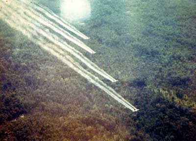 The Toxic Effects Of Agent Orange Persist 51 Years After The Vietnam War