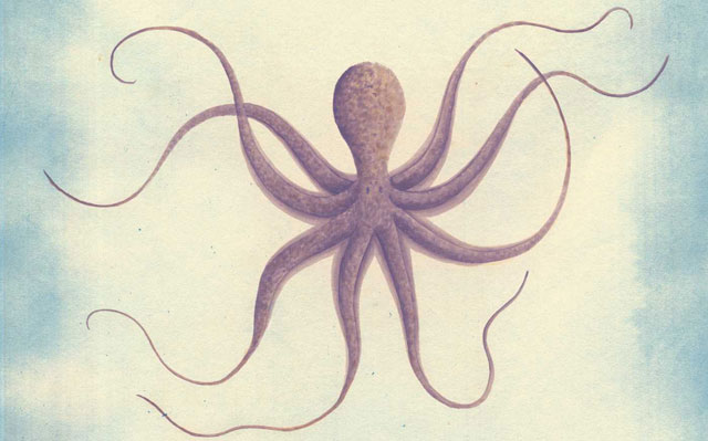 From the cover of The Soul of an Octopus by Sy Montgomery. The 2012 Cambridge Declaration on Consciousness said all mammals and birds and octopuses specifically have the neural substrates necessary to generate consciousness — ultimately, the world is far more alive, intelligent, thinking and feeling than we have wanted to admit for a long time. (Image: Atria Books)