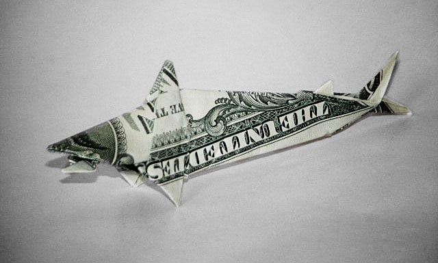 Dollar Shark