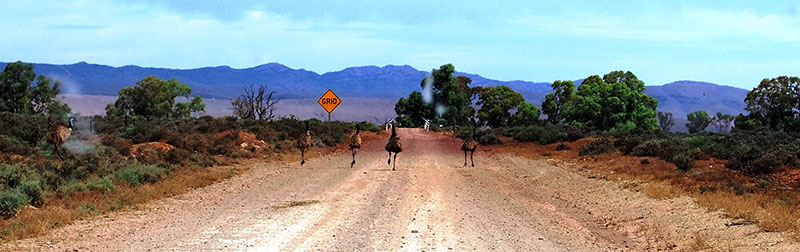 The Flinders Ranges, near the proposed dump site. (Photo: Friends of the Earth)