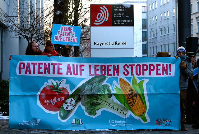 Protesters in Munich, Germany, demonstrate against patents on life companies such as Syngenta and Monsanto, January 20, 2016.