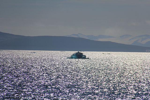 Floating icebergs in Baffin Bay but very little sea ice. (Photo: Chris Williams)