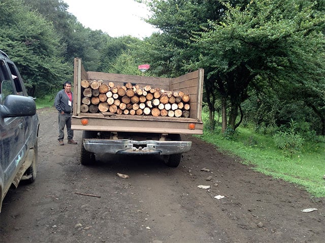 Jose Luis Sanchez is part of the group who patrols the forest every day. In the picture he is verifying if the truck driver has a permit to carry the wood. (Photo: Lourdes Cárdenas)