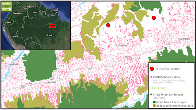 Satellite data from the Brazilian government show this area of Pará lost nearly 400,000 hectares of tree cover between 2001 and 2015. Small logging camps like that from which João and his colleagues add to this toll – but often log too selectively to show up via satellite monitoring.