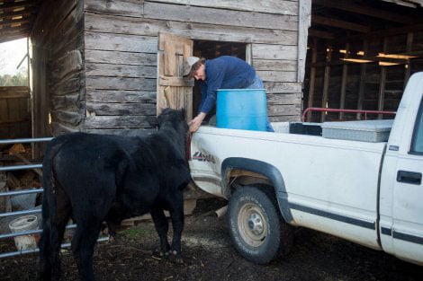 Hank Adcock's son, James, 17, left, loads feed onto a truck on his family's farm in Blount County, Alabama in February, 2017. (Photo: Mike Kane for Equal Voice News)