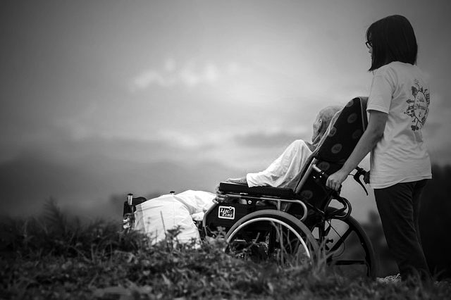 (Photo: Maxlkt; Edited: LW / TO)