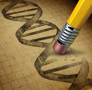 Erasing DNA