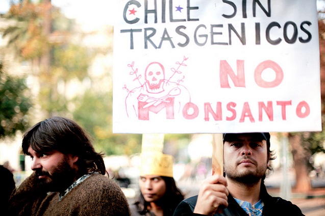 Global March Against Monsanto, Santiago, Chile. (Photo: <a href=