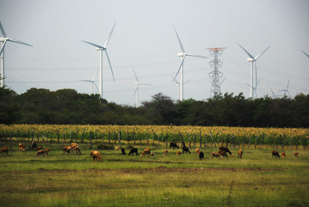 April 2014 - The wind farm owned by Gas Natural Fenosa, which uses the name Biìo Hioxo Energy, continues its progress on communal land where sacred ceremonial centers exist in Zaragoza Juchitán of Oaxaca. (Photo: Santiago Navarro F.)