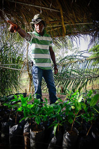 Garifuna agronomist Henry Morales explains to youth about reforesting the landscape with mahogany seedlings. (Photo: Steve Pavey)