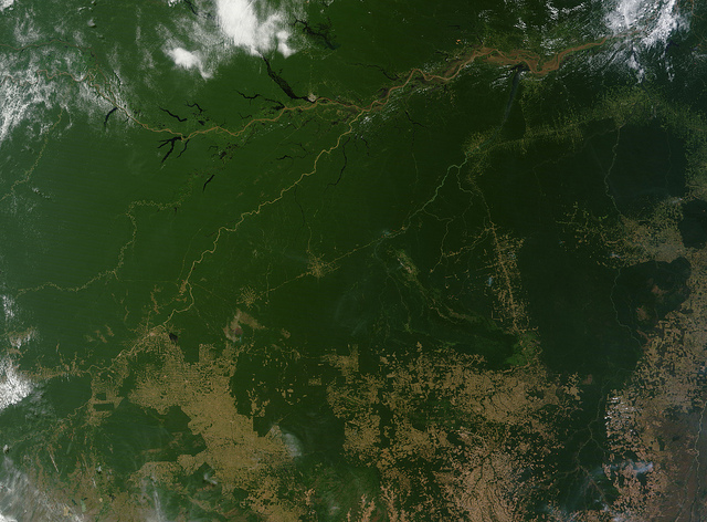 31 July, 2011- Satellite photo of the Amazon Rainforest. (Photo: NASA Goddard Space Flight Center)