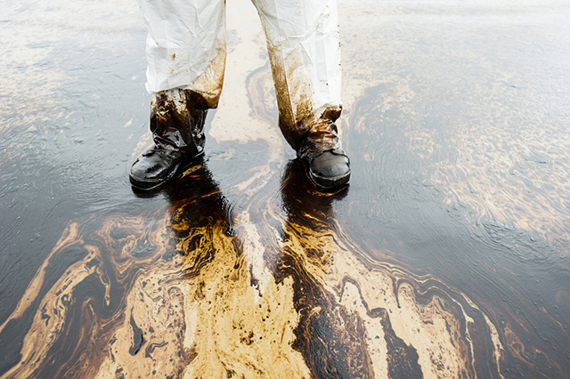 The waxwings deserve better. So do we all. (Photo: Oil Spill via Shutterstock)