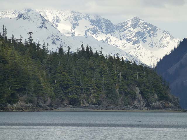 All of Southeast Alaska's pristine coastline would be impacted by the Navy's upcoming planned war games in the Gulf of Alaska. (Photo: Dahr Jamail/Truthout)