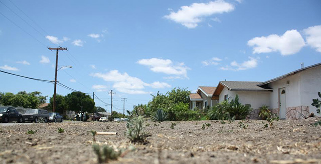 One of a number of bare earth home-fronts along 61st S treet in Maywood, southeast LA - a symbol of a  drought that is reaching its fourth year in the state. (Photo: Daniel Ross)