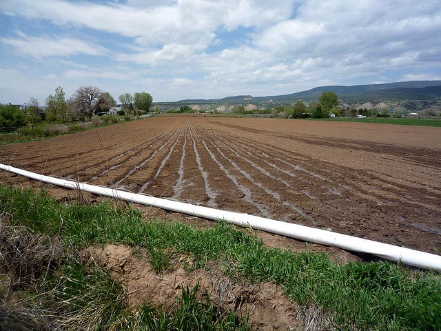 Flooding furrows is a time-tested but relatively wasteful method of watering crops. Techniques such as drip irrigation and high-performance surface irrigation aim to improve water-use efficiency.
