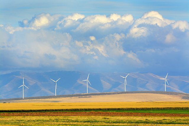 (Photo: Wind Farm via Shutterstock)
