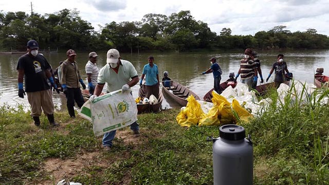 At least 23 species of fish and other aquatic life were among the dead specimens collected from the La Pasión River, according to Guatemalan government authorities. (Photo courtesy of El Informante Petenero)
